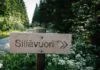 Siliävuori – uusi kiipeilykallio Reventeenvuoren kupeessa Iitissä