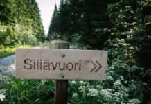 Siliävuori – uusi kiipeilykallio Reventeenvuoren kupeessa Iitissä